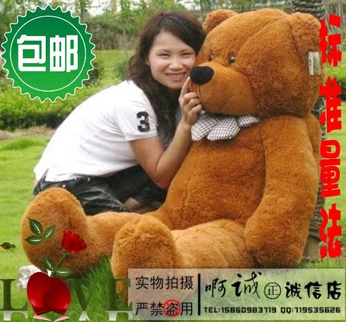 毛绒玩具熊1米1.2米 1.6米 泰迪熊大号公仔 布娃娃 抱抱熊 包邮