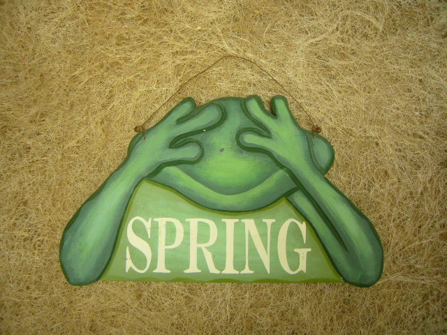 【品味生活】手绘乡村风 ～青蛙先生 ～非礼勿视～春天挂牌