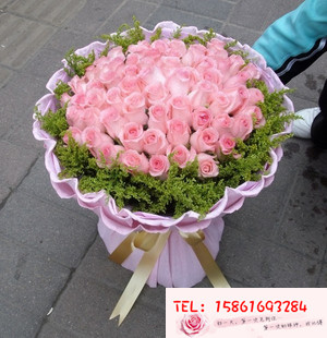 无锡鲜花同城配送 情人节鲜花预定 99朵粉玫瑰 无锡鲜花店