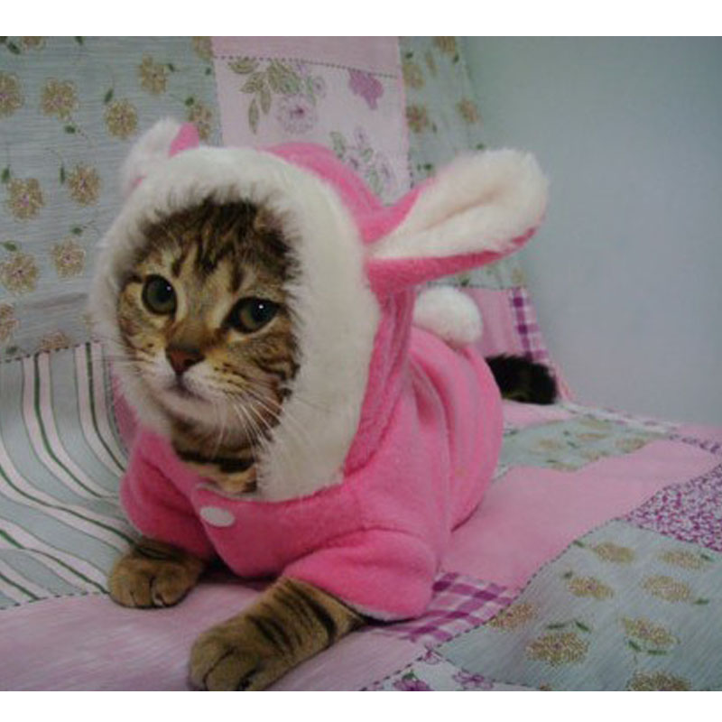 宠物棉衣保暖兔子变身装泰迪贵宾小狗狗两脚衣服猫咪秋冬加厚服装