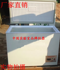 -40℃低温试验箱 170L 低温箱 防水卷材低温箱 冷冻箱低温柜