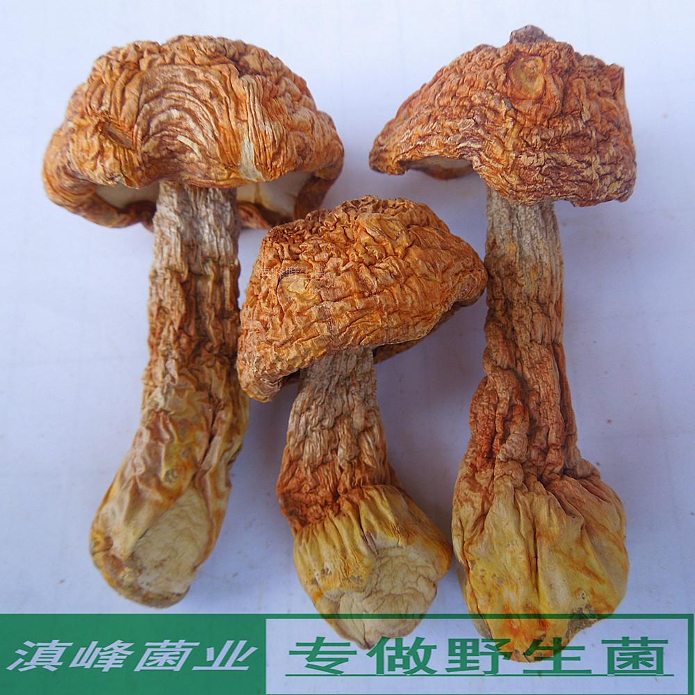姬松茸特级干货 巴西蘑菇云南丽江土特产野生菌 煲汤好