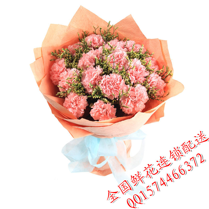深圳鲜花店16朵粉色康乃馨鲜花束圣诞节鲜花礼品预订