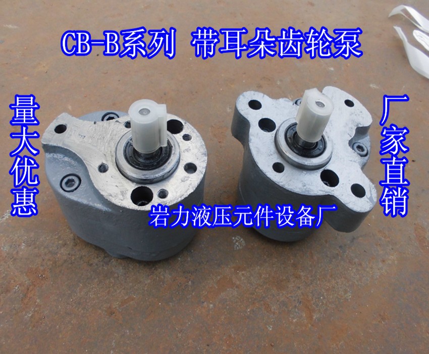 CB-B2.5 CB-B6 CBW-B10 系列液压齿轮泵 化工泵 机械油泵 润滑泵