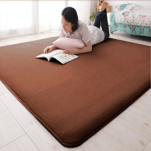 包邮珊瑚绒客厅沙发正品卧室满铺时尚田园风格长方形地毯