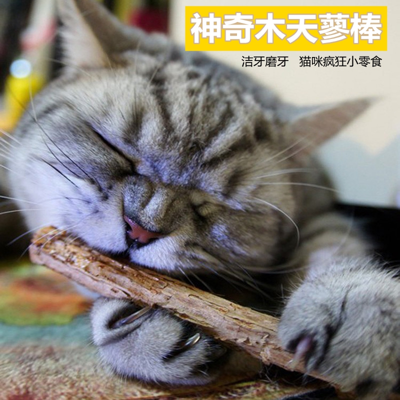 猫咪磨牙洁齿棒 纯天然猫薄荷 木天蓼猫零食 宠物零食10克两支装