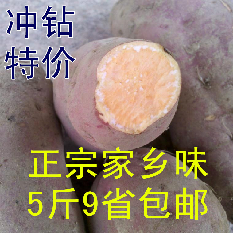 江西山区农家自种新鲜番薯 黄芯红薯地瓜 小香薯生地瓜 山芋
