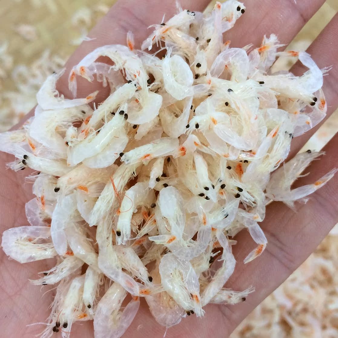 顶级虾皮 野生虾米 海米 干货/虾皮 即食海鲜 味道清淡 250g