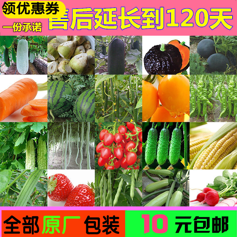 四季蔬菜水果种子庭院蔬果萝卜黄瓜番茄辣椒西丝瓜草莓籽原厂封装