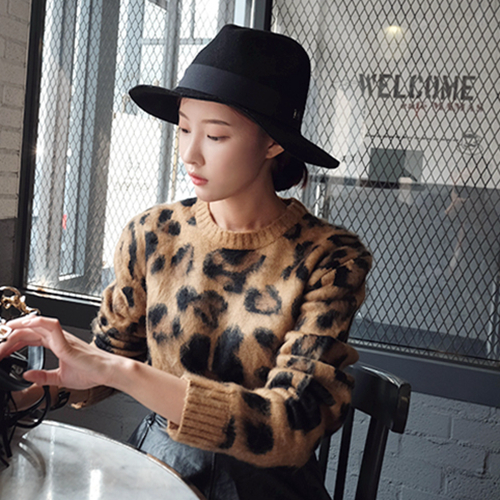 新款韩国2016秋冬装气质豹纹百搭针织衫长袖套头毛衣