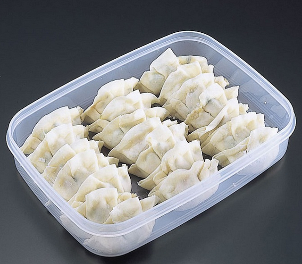 日本进口SANADA保鲜盒饺子盒 冰箱冷藏盒冷冻饺子食品收纳盒D5665