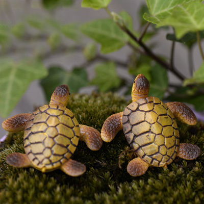 苔藓微景观多肉植物盆栽装饰品玩偶树脂小海龟DIY材料动物小摆件