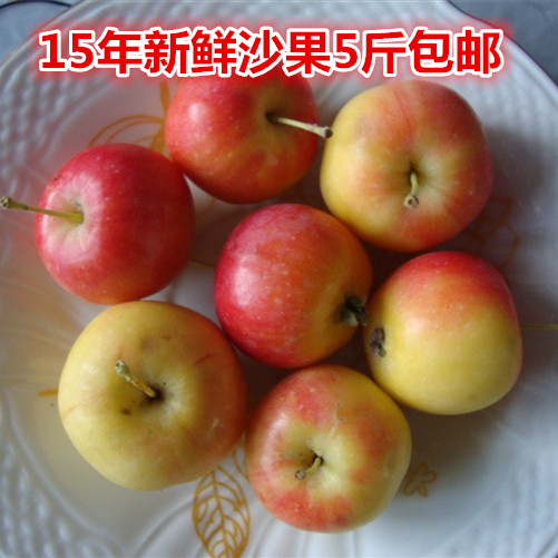 东北特产 农家沙果 123小苹果 新鲜水果 海棠果5斤包邮
