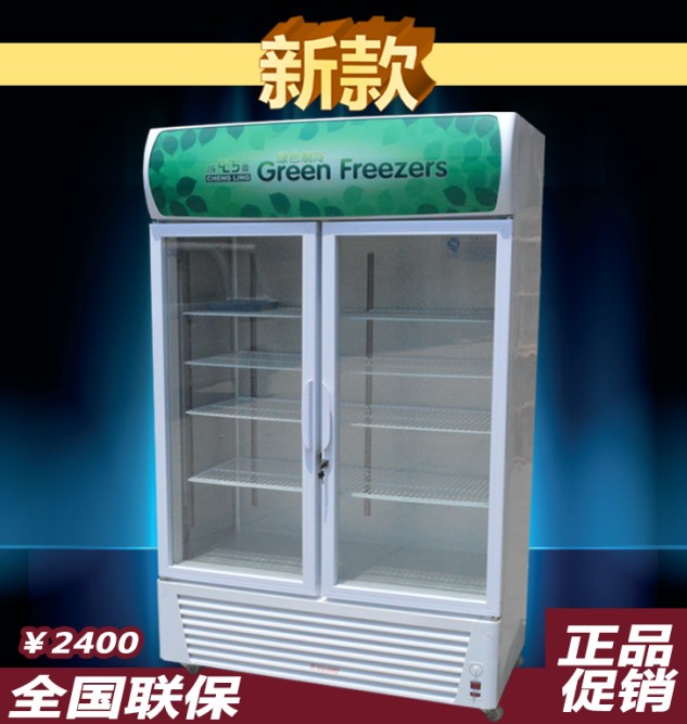 成菱双开门冷藏柜 展示柜 保鲜柜 点菜柜 饮料啤酒柜立式冰柜商用