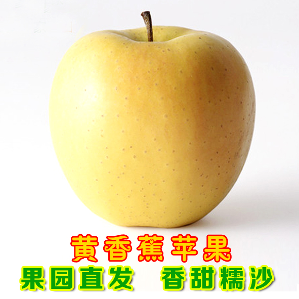 粉苹果 黄香蕉苹果 黄元帅苹果 金帅苹果 酸甜美味新鲜水果五斤