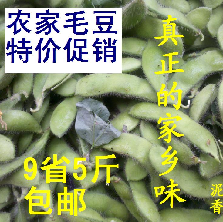 江西宜春山区农家自种新鲜毛豆 青毛豆 现摘现卖黄豆荚有机青豆