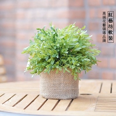 2014新款款台湾进口高档绿色9寸芙蓉盆高仿真绿植仿真植物盆景
