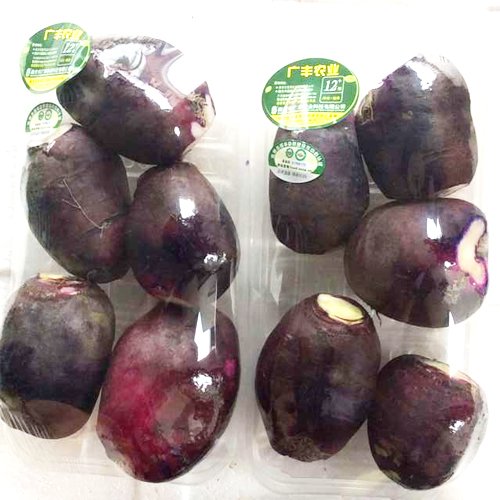 有机紫萝卜绿色无公害原生态蔬菜农家紫樱桃水果萝卜400g新鲜时蔬
