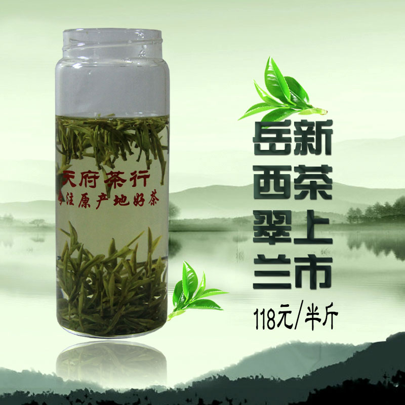 2015新茶岳西翠兰 明后一级岳西翠尖 正宗大别山绿茶 超值包邮
