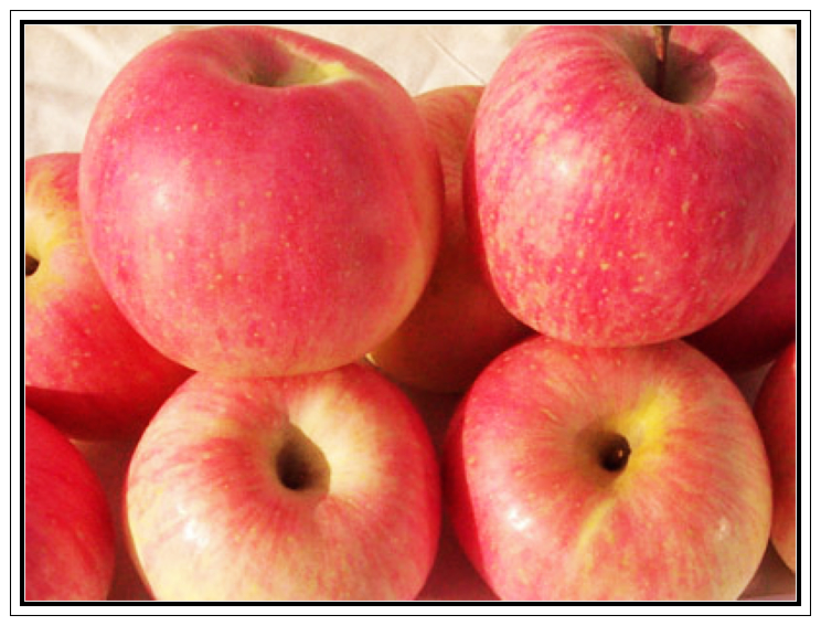 烟台红富士 栖霞苹果面苹果孕妇 儿童有机水果5斤包邮批发平安果