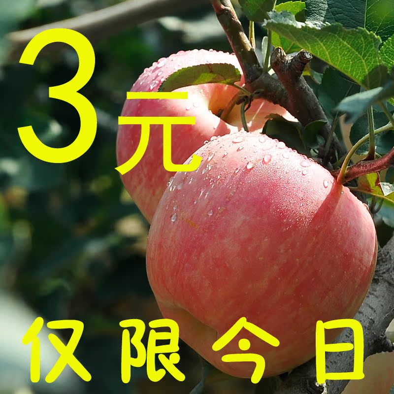 烟台红富士 栖霞苹果3元/斤有机新鲜水果苹果不打蜡带皮吃批发