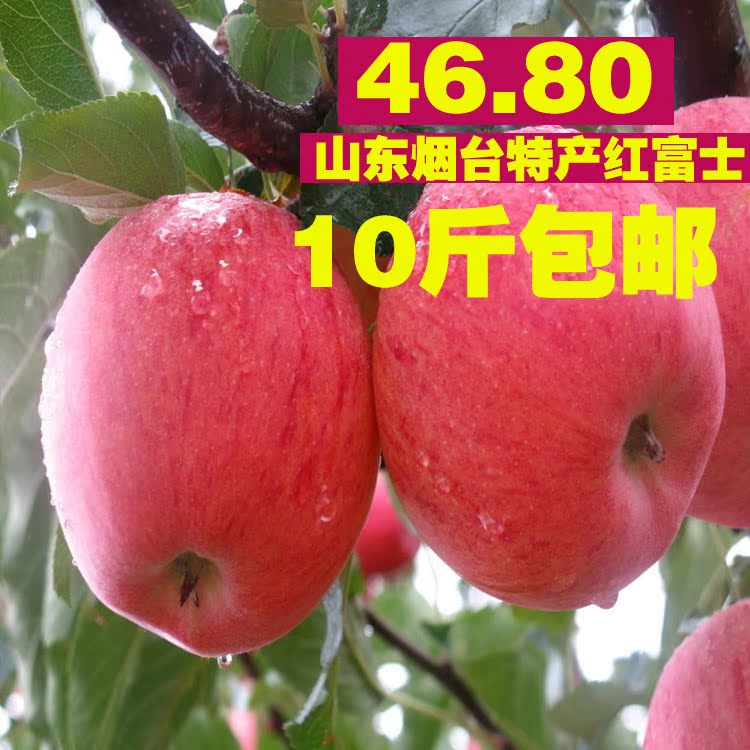 包邮山东烟台苹果栖霞红富士80 新鲜水果有机正宗特产地批发10斤