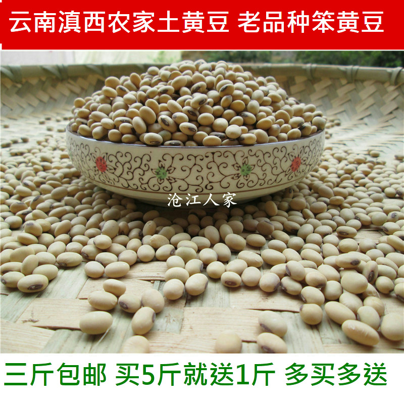 云南农家自种小黄豆豆浆专用黄豆非转基因笨黄豆土500g