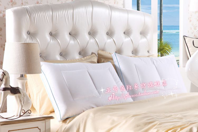 G-Z Hilton出口欧美 95%白鹅绒枕 羽绒枕头 五星级酒店专用 枕芯