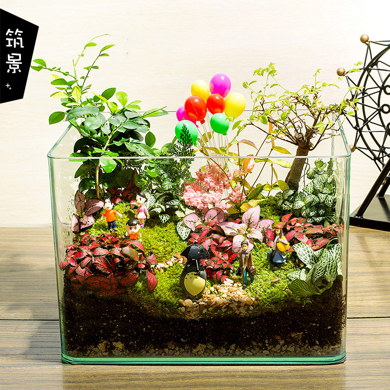 创意迷你盆栽绿植卧室苔藓微景观生态瓶玻璃品办公桌迷你可爱摆件