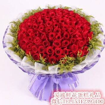 七夕情人节礼物红玫瑰鲜花同城速递鲜花常州鲜花预定鲜花速递