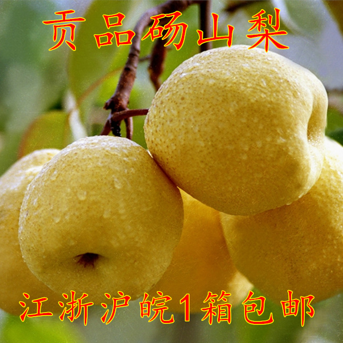 安徽特产砀山梨10斤新鲜水果梨子甜梨酥梨香梨原产地发货包邮
