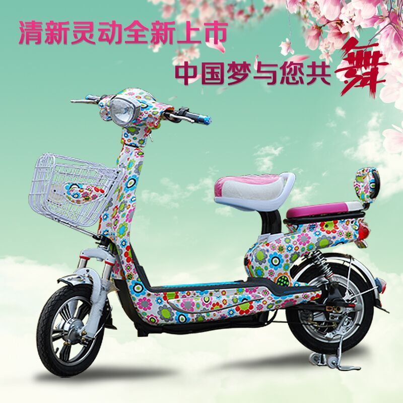 凤燕电动车中国梦电瓶车自行车踏板车双人迷你标准双人助力车电摩