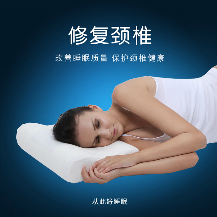 记忆棉枕头 慢回弹太空修复护颈保健枕芯睡觉护颈椎枕磁疗 世纪康