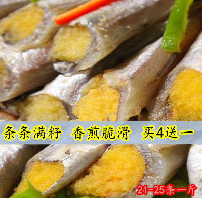 多春鱼新鲜多籽鱼烧烤人气食材500g加拿大柳叶鱼条条满籽大号