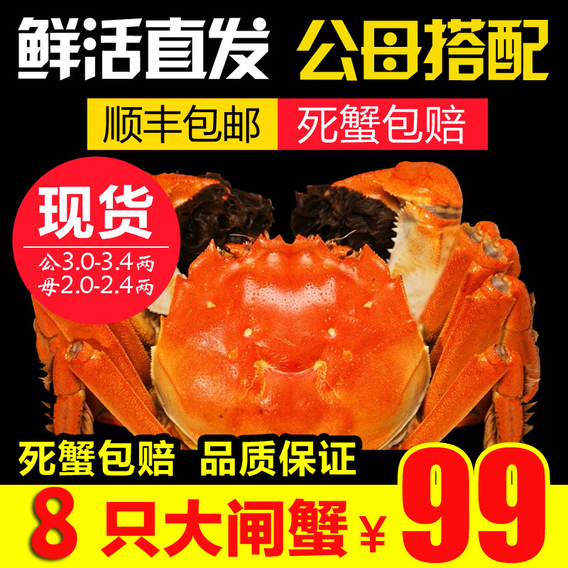 【共8只】吃我蟹鲜活高淳螃蟹固城湖大闸蟹母2.0-2.4公3.0-3.4两