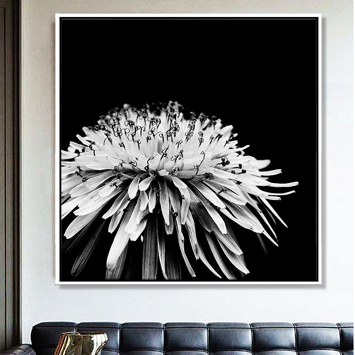 黑白高清花卉摄影大幅装饰画客厅卧室沙发背景有框挂画现代简约