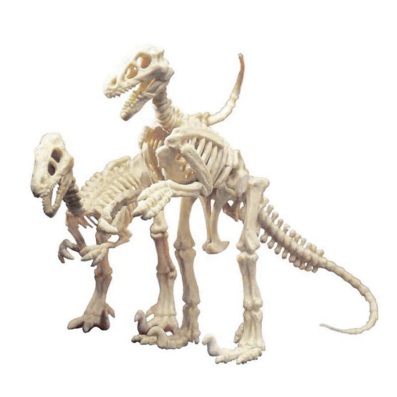 清仓特价美国进口儿童玩具益智挖掘速龙化石 考古角色扮演正品