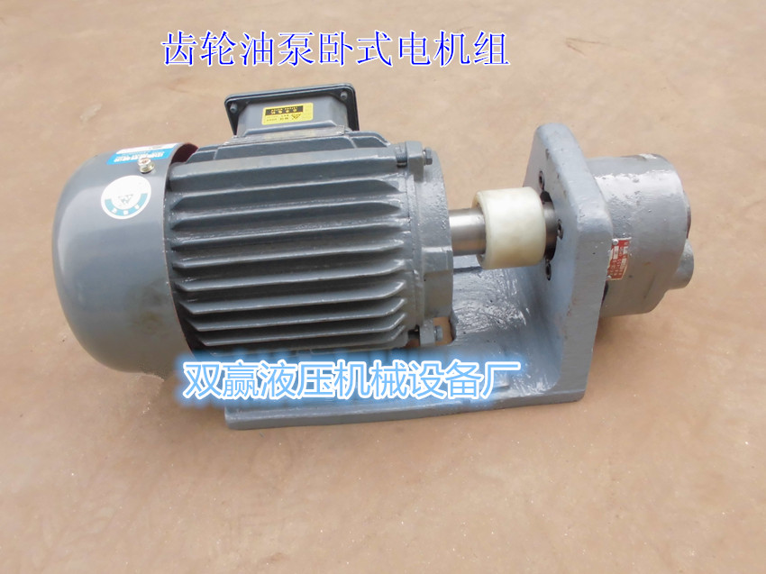 HY01系列齿轮油泵卧式/立式电机装置 HY01-8X15/12X20液压润滑泵