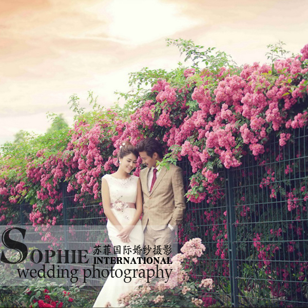 苏菲国际婚纱摄影情侣蜜月结婚成都婚纱照韩式工作室团购套餐6299