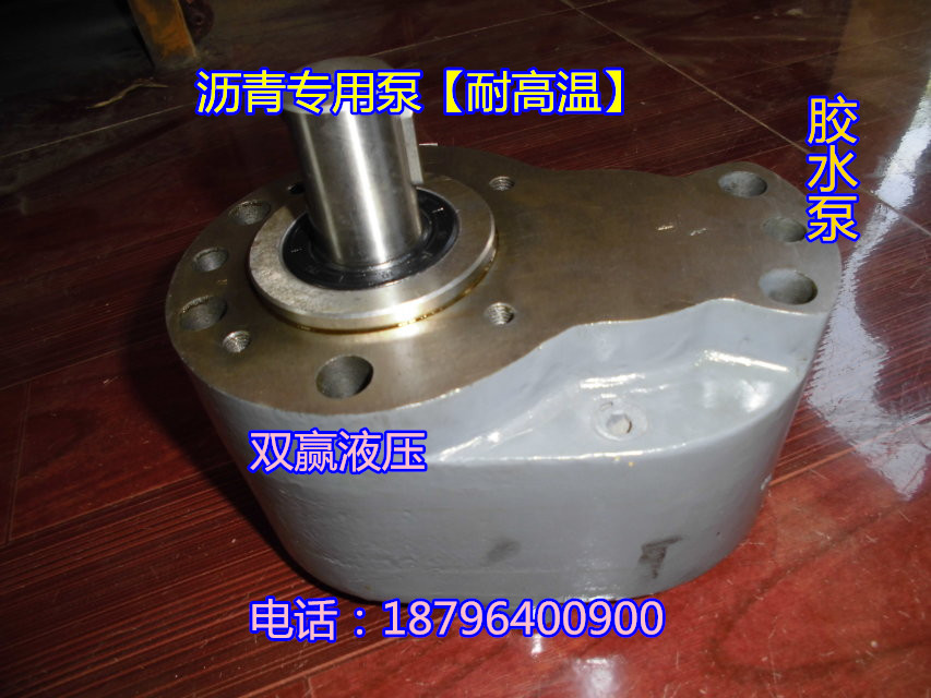 液压齿轮油泵高温化工泵 润滑泵机床液压机械用泵沥青泵 胶水泵