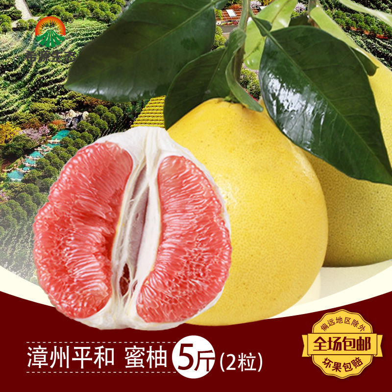希源 福建特产柚子平和琯溪红心蜜柚 红肉蜜柚 血柚2个约5斤