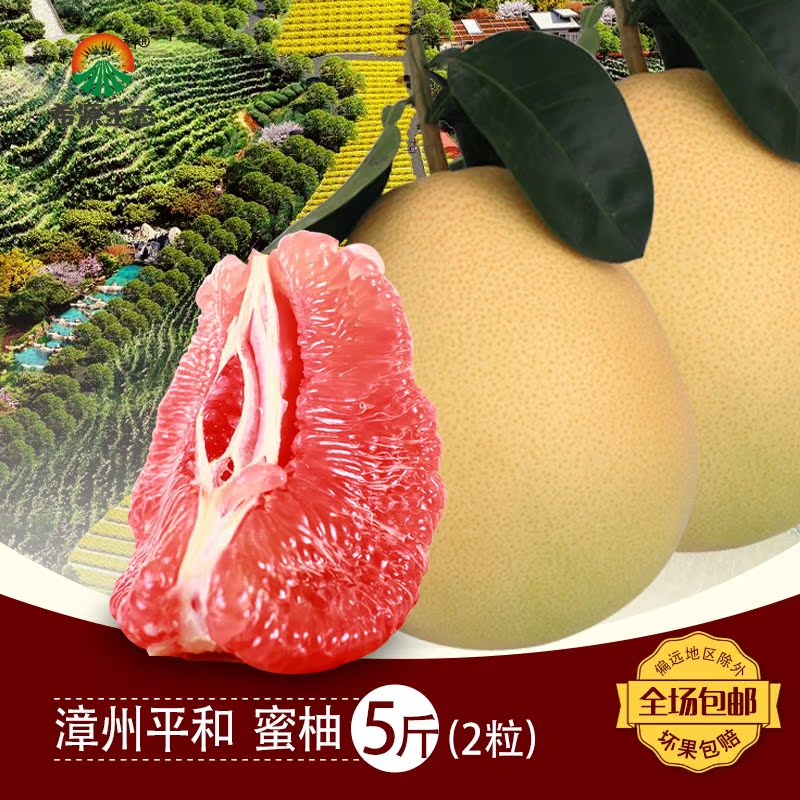 希源 福建平和琯溪蜜柚 三红蜜柚2个 约5斤 三红红柚子水果