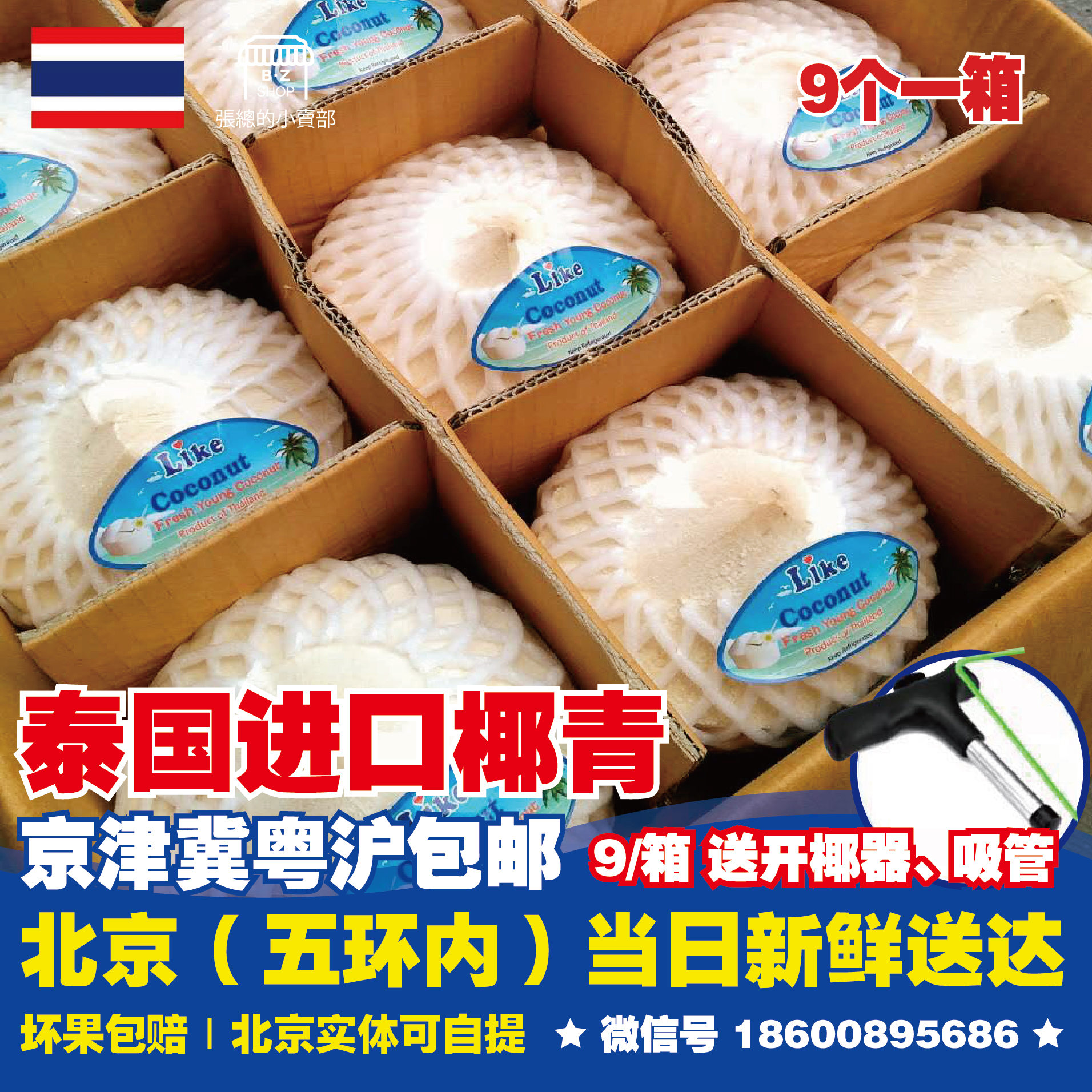 泰国进口椰青椰子单果约1000g北京当天送货/原装箱9个装/多省包