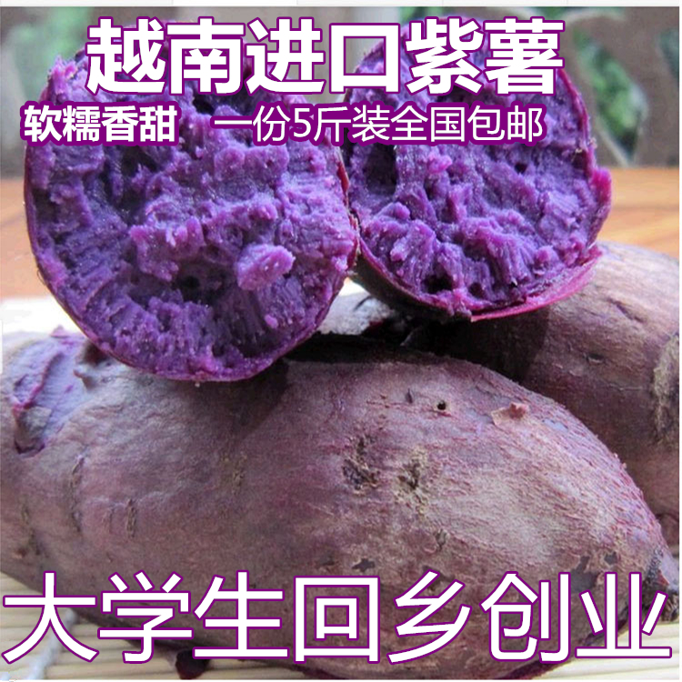 越南紫薯地瓜新鲜紫心薯番薯生紫薯令时粗粮农家自种有机5斤包邮
