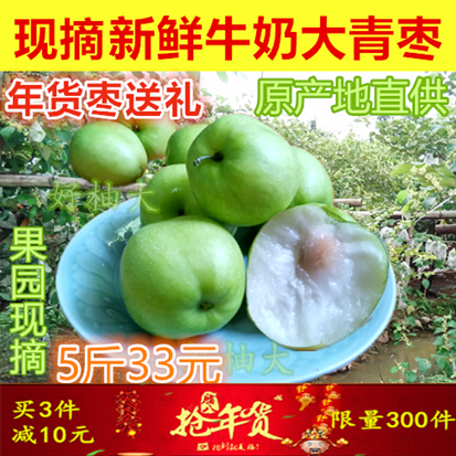 现货10月台湾正宗牛奶枣大青枣有机新鲜水果每天现摘 五斤装包邮